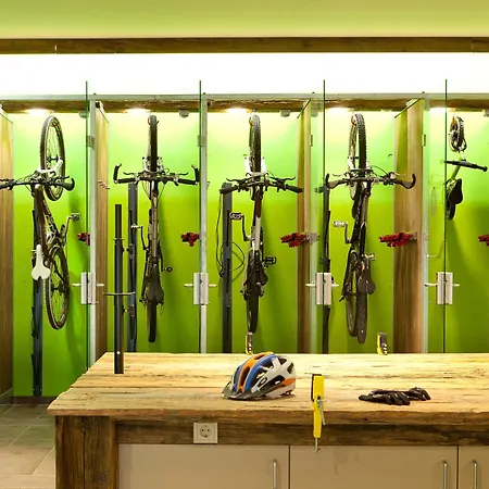 Explorer Stubaital فندق 4*